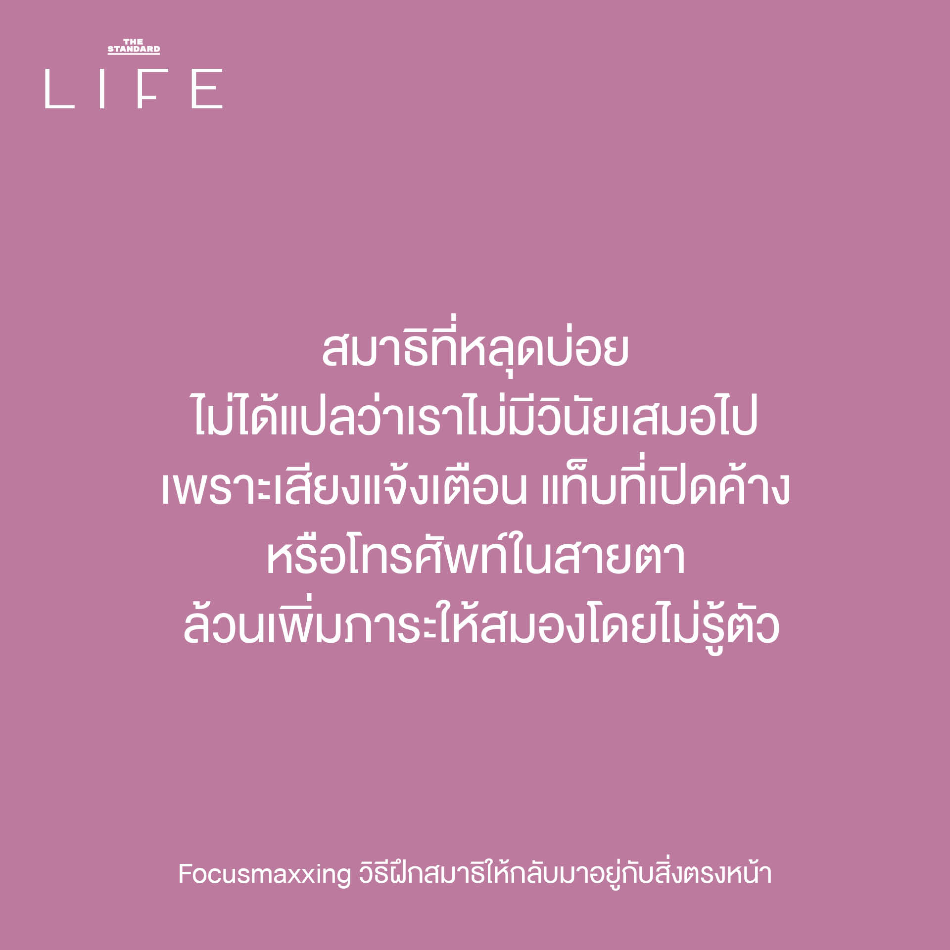 ภาพประกอบแสดงการจดจ่อกับสิ่งตรงหน้าเพื่อฝึกสมาธิแบบ Focusmaxxing 4