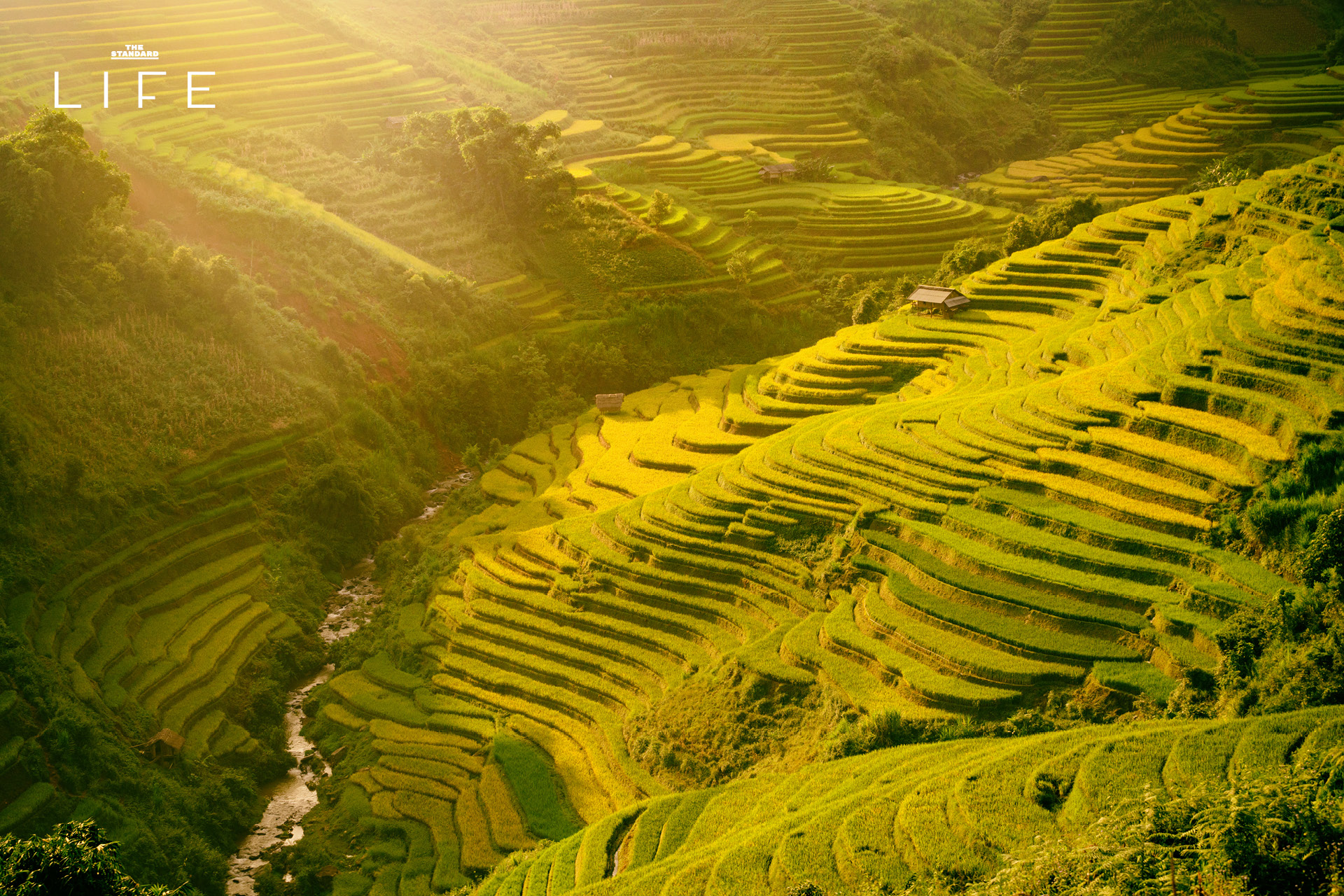 ภาพวัดบนภูเขาสูงท่ามกลางใบไม้เปลี่ยนสีในฤดูใบไม้ร่วง 5