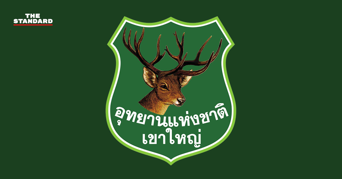 ภาพน้ำตกหรือลำห้วยในอุทยานแห่งชาติเขาใหญ่ที่มีน้ำป่าไหลหลากและกระแสน้ำเชี่ยวกราก
