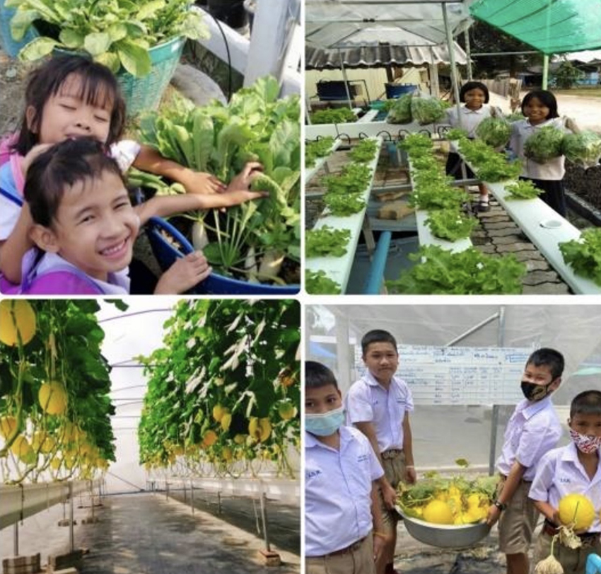 ภาพอาคารเรียนหรือกิจกรรมที่โรงเรียนมีชัยพัฒนา 2