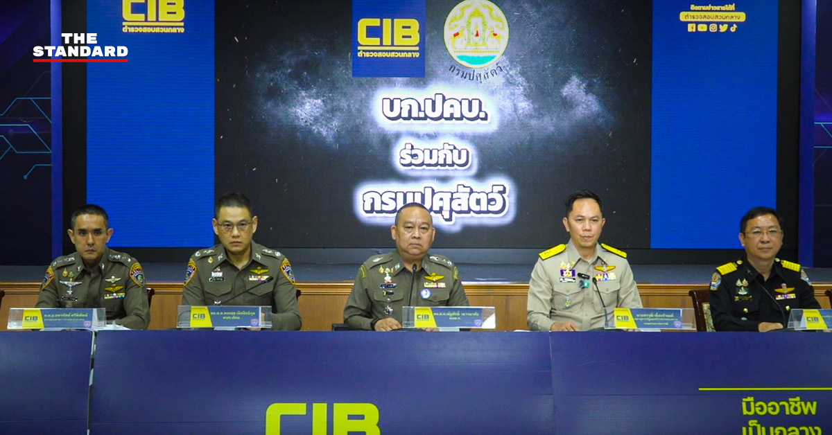 เจ้าหน้าที่ ปคบ. และกรมปศุสัตว์ ตรวจสอบของกลางและโคเนื้อที่ถูกยึด