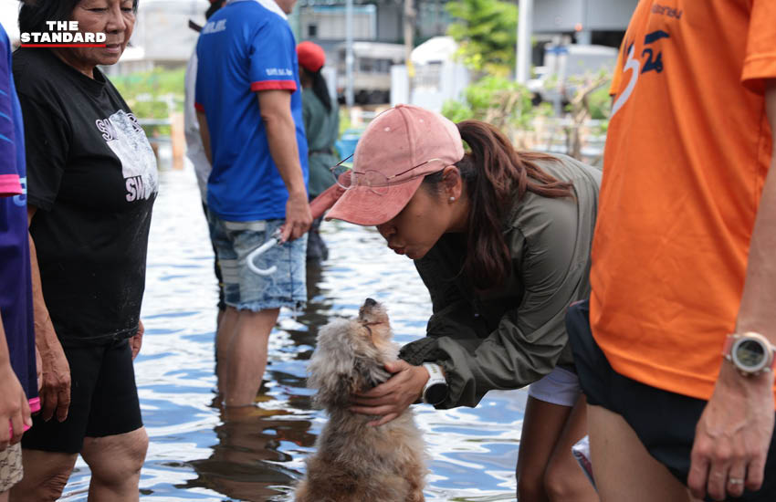 ศิริกัญญา ตันสกุล ลงพื้นที่สำรวจสถานการณ์น้ำท่วมขังในจังหวัดปทุมธานี 5