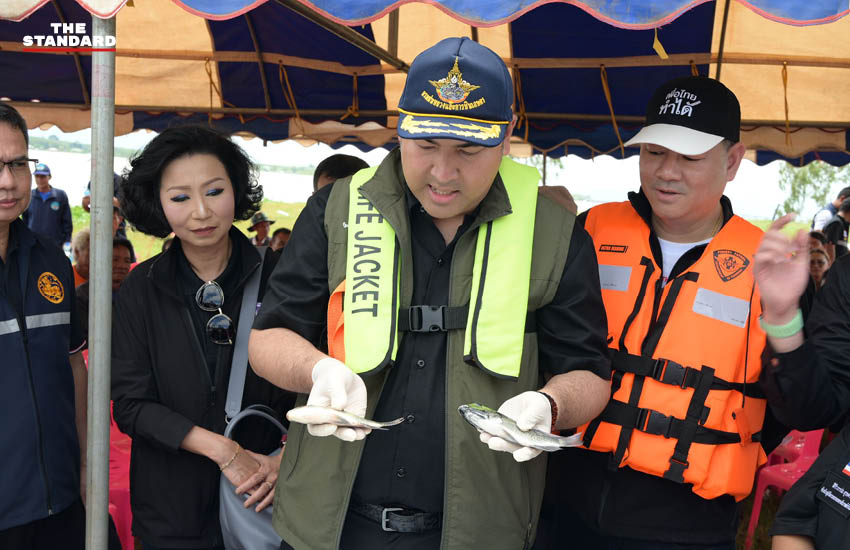 วัชระพล ขาวขำ รัฐมนตรีช่วยว่าการกระทรวงเกษตรและสหกรณ์ ลงพื้นที่เขื่อนลำปาว จังหวัดกาฬสินธุ์ พร้อมคณะ เพื่อติดตามสถานการณ์ปลาหมอคางดำ 1