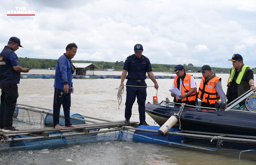 วัชระพล ขาวขำ รัฐมนตรีช่วยว่าการกระทรวงเกษตรและสหกรณ์ ลงพื้นที่เขื่อนลำปาว จังหวัดกาฬสินธุ์ พร้อมคณะ เพื่อติดตามสถานการณ์ปลาหมอคางดำ 6