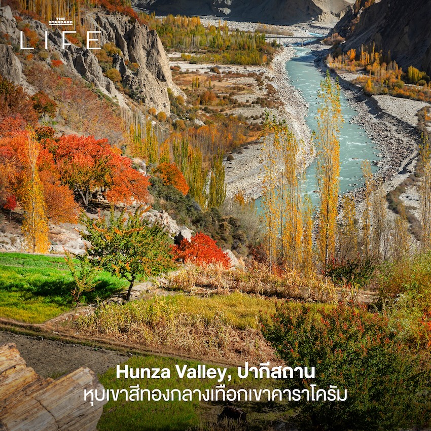 ภาพวิวแม่น้ำอาราชิยามะ ประเทศญี่ปุ่น ในฤดูใบไม้ร่วงที่ใบไม้เปลี่ยนสีสวยงาม 9