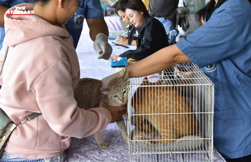 ภาพเจ้าหน้าที่กรุงเทพมหานครกำลังช่วยเหลือสัตว์เลี้ยงที่ประสบภัยน้ำท่วม 3
