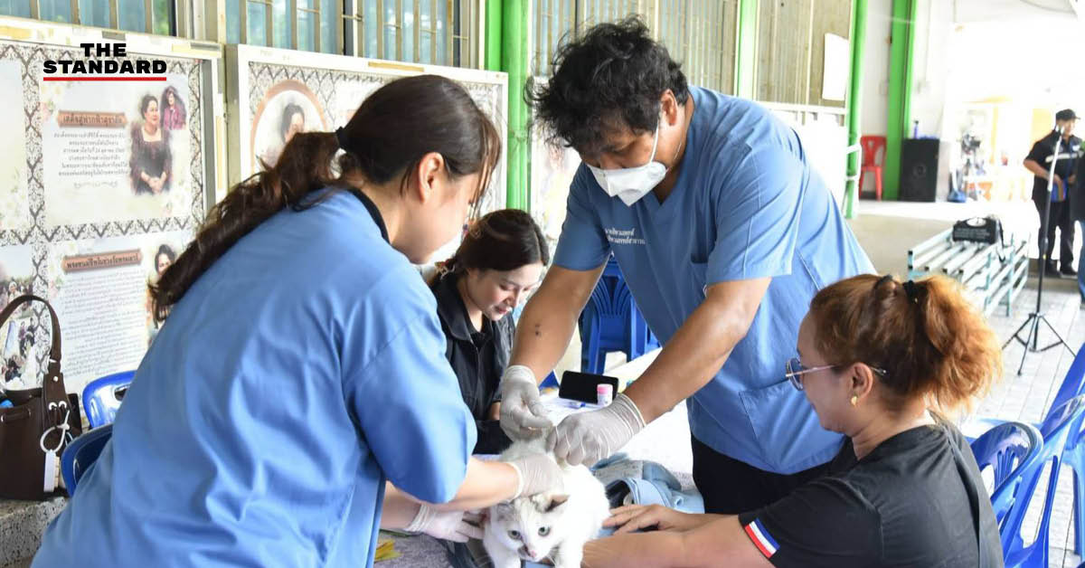 ภาพเจ้าหน้าที่กรุงเทพมหานครกำลังช่วยเหลือสัตว์เลี้ยงที่ประสบภัยน้ำท่วม