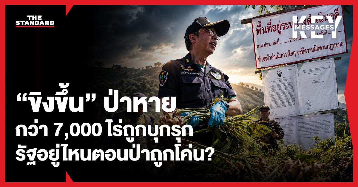 ภาพประกอบแสดงพื้นที่ป่าถูกบุกรุกเปลี่ยนเป็นแปลงปลูกขิงในสวนป่าไชยปราการ