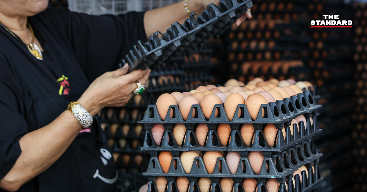 ภาพกราฟิกแสดงมาตรการแก้ปัญหาผัก-ไข่ขาดตลาดและตรึงราคาไข่ไก่ของกรมการค้าภายใน