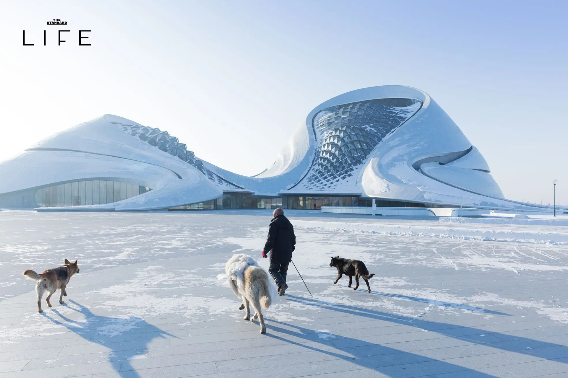 ภาพมุมสูงของ Harbin Opera House โรงละครสีขาวรูปทรงโค้งคล้ายภูเขาหิมะ ตั้งอยู่ริมแม่น้ำ Songhua ในเมืองฮาร์บิน ประเทศจีน 1