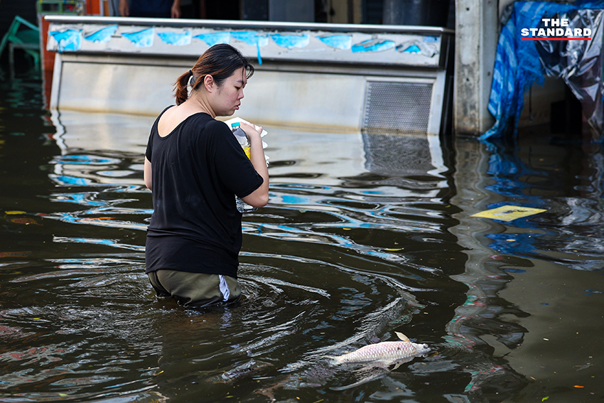 ภาพชาวบ้านในชุมชนเคหะร่มเกล้าใช้กะละมัง เรือเล็ก และรถกระบะสัญจรท่ามกลางน้ำท่วมสูง 8