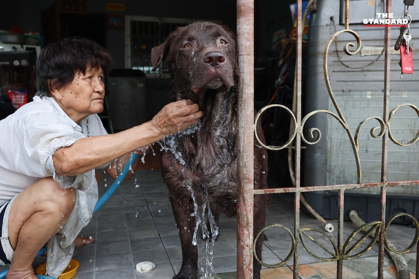 ประชาชนกำลังทำความสะอาดบ้านเรือนและถนนที่เต็มไปด้วยโคลนและขยะในเคหะร่มเกล้าหลังน้ำท่วม 4