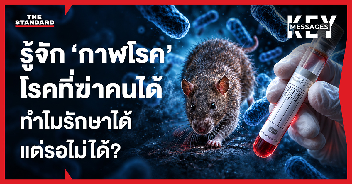 ภาพประกอบเชิงเปรียบเทียบแสดงถึงความมืดมิดของโรคกาฬโรค
