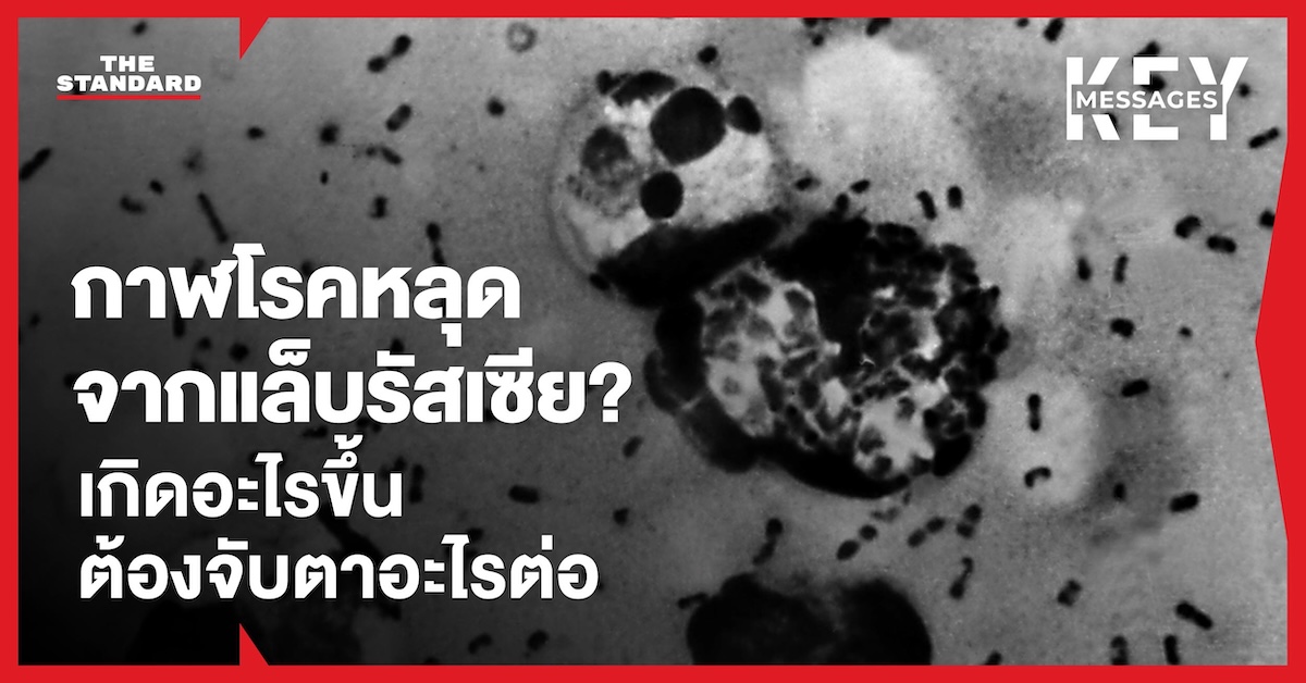 ภาพห้องปฏิบัติการวิจัยทางการแพทย์ที่เกี่ยวข้องกับการศึกษาโรค