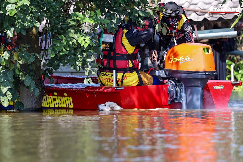 ชาวบ้านในพื้นที่น้ำท่วมปราจีนบุรี ยกสิ่งของขึ้นที่สูงและใช้เรือสัญจรในบ้าน 6