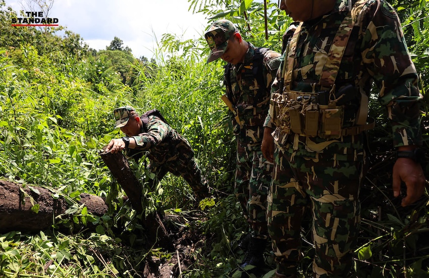 ภาพมุมสูงแสดงพื้นที่ไร่ขิงที่ถูกรื้อถอนในอำเภอไชยปราการ จังหวัดเชียงใหม่ 8